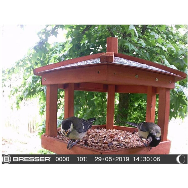 Appareil-photo spécial gibier Bresser SFC-1 pour petits animaux et oiseaux