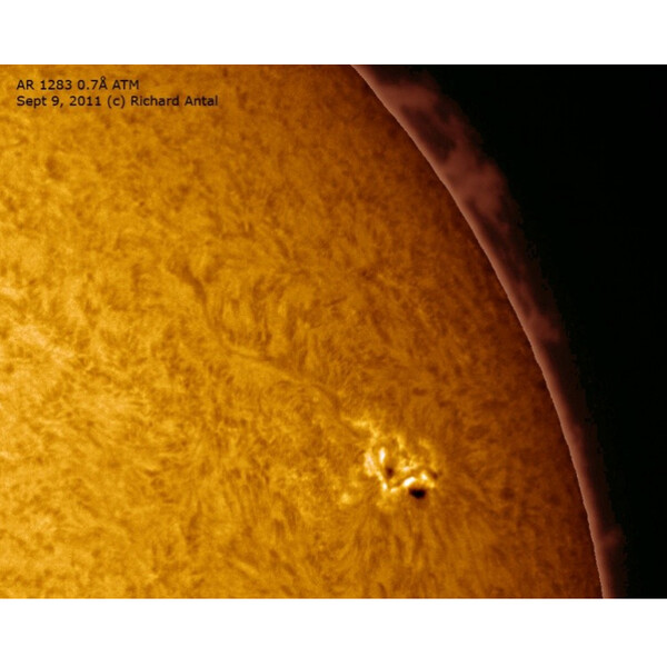 Télescope solaire DayStar ST 127/1462 SR Carbon OTA