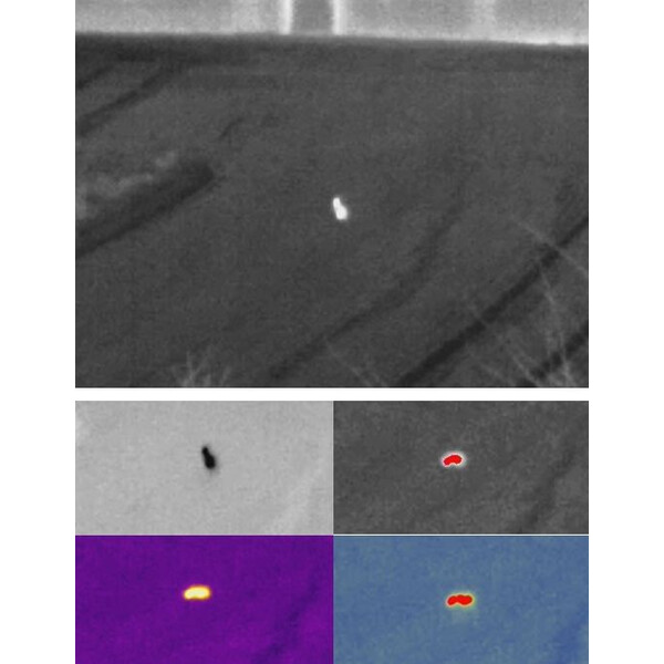 Caméra à imagerie thermique Guide Wärmebildgerät Track IR19 Pro