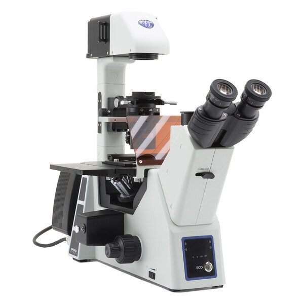 Microscope inversé Optika Mikroskop IM-5FLD-UK, trino, invers, FL-LED, w.o. objectives, UK