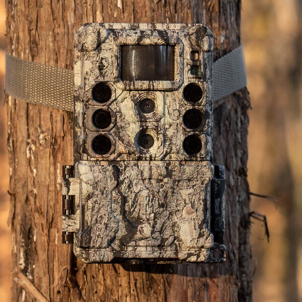 Appareil-photo spécial gibier Bushnell 32MP CORE DS4K Tree Bark Camo No Glow, Box 5L