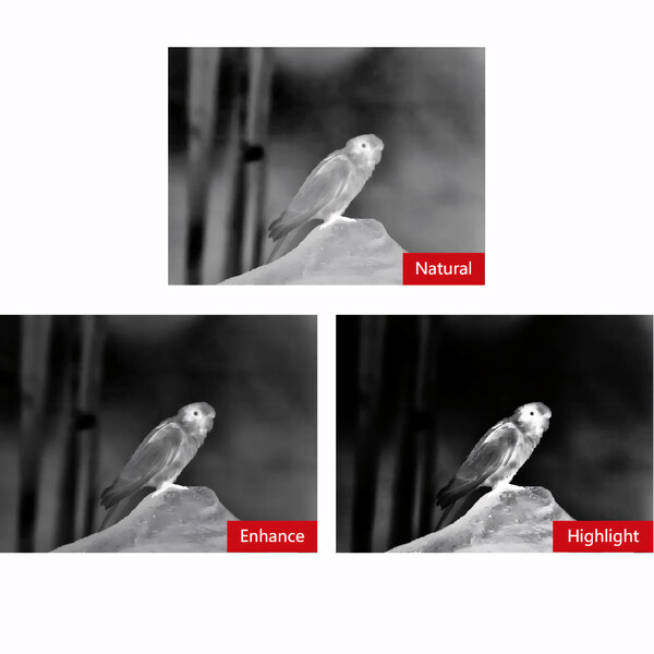 Guide Caméra à imagerie thermique TN650