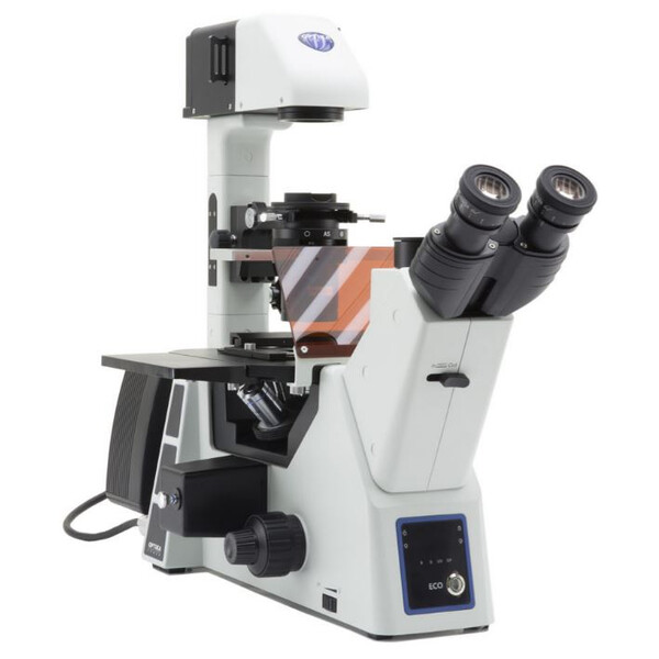 Microscope inversé Optika IM-5FLD, FL, trino, invers, 10x24mm,  AL/DL, LED 5W, 8W w.o. objectives