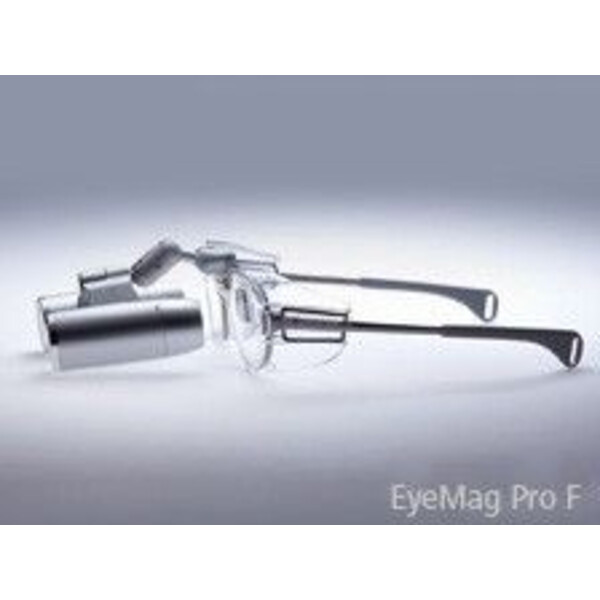 ZEISS Sideshields, Paar, verpackt