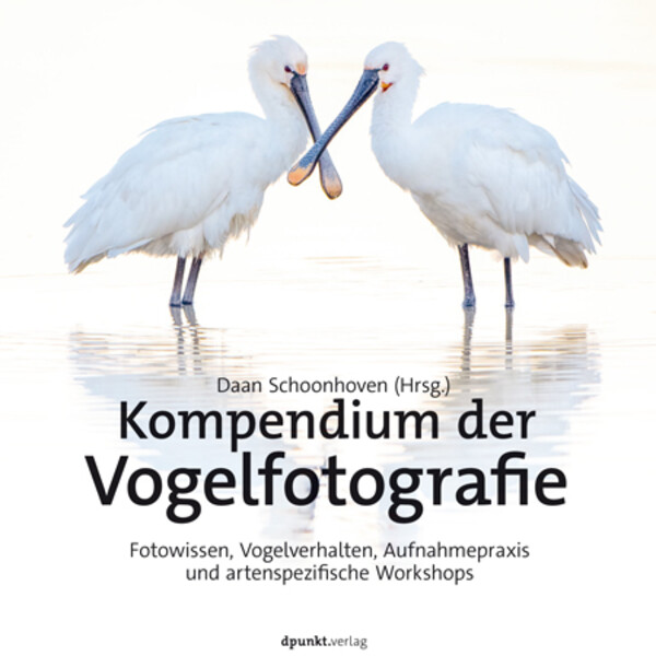 dpunkt Compendium de la photographie d'oiseaux