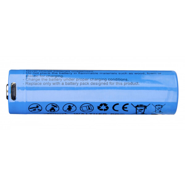 Walther Batterie Li-Ion de 2600 mAh avec prise de charge Micro-USB