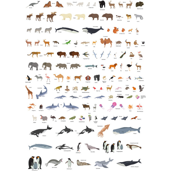 Carte pour enfants GeoMetro Le monde des animaux (84 x 60 cm)