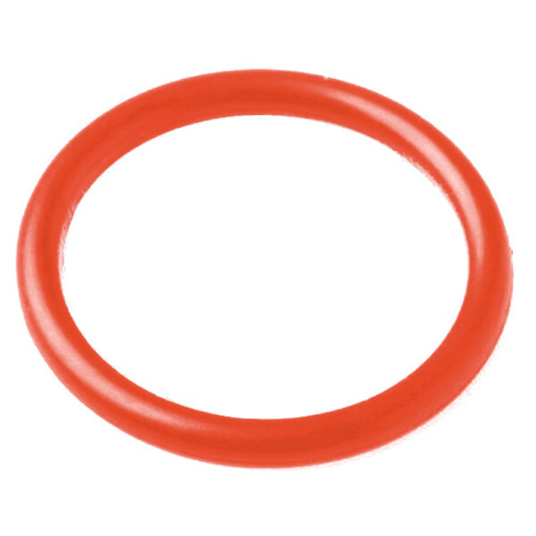 Lunt Solar Systems Joint torique pour le système Pressure-Tuner des télescopes solaires LS50THa