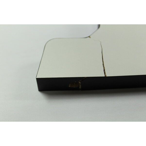 Skywatcher Dobson Teleskop N 203/1200 Skyliner FlexTube BD DOB GoTo (Fast neuwertig)