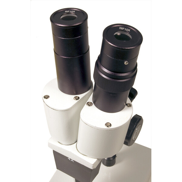 Microscope stéréoscopique Levenhuk 2ST 40x
