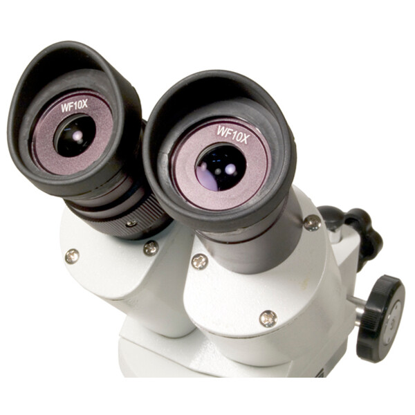 Levenhuk Stereomikroskop 3ST 20-40x Halogen