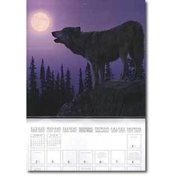 Tushita Verlag Kalender Moon Power