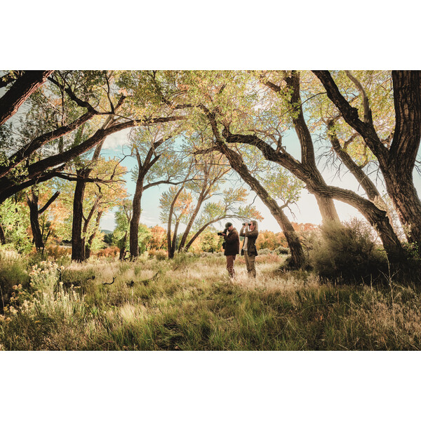 Swarovski Spektiv AT Balance 18-45x65