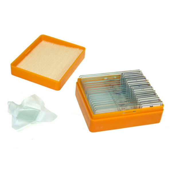 Levenhuk Lames préparées N20 NG