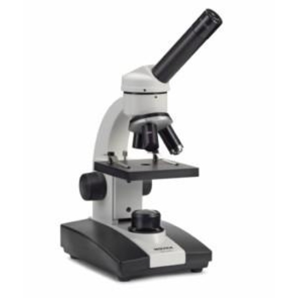 Microscope Novex LED-Junior