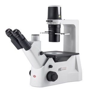Microscope inversé Motic AE2000 trino, infinity, 40x-400x, phase, Hal, 30W