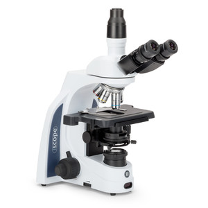 Microscope Euromex iScope IS.1153-PLi, trino, infinity, plan, 40x-1000x, iCare, LED