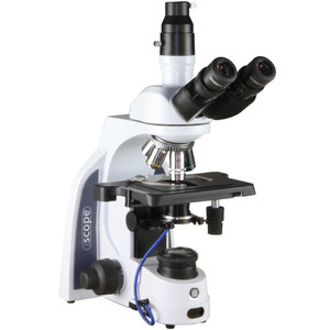 Microscope Euromex iScope IS.1153-PLi/DFI, DF, trino, INFINITY, plan, 4x-100x, 100x iris, IOS, spring, iCare, LED, 3W