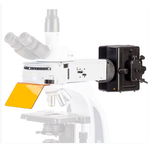 Euromex Composant de fluorescence à 6 positions IS. 9200-6NF pour  IScopeavec 2 blocs de filtres sans filtre.