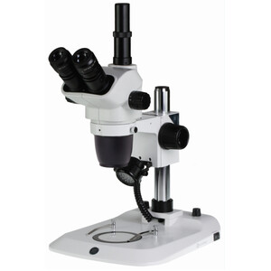 Euromex Zoom-Stereomikroskop NexiusZoom EVO, NZ.1703-P, trino, 6.5x-55x