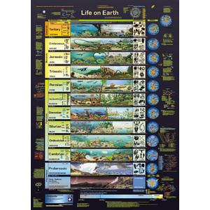 Affiche Planet Poster Editions Life on Earth