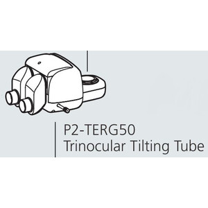 Nikon Stereokopf P2-TERG 50 trino ergo tube (100/0 : 50/50), 0-30°
