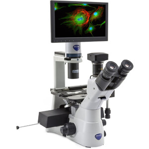 Microscope inversé Optika IM-3LD4D, 6MP, 12" display, trino, IOS U-PLAN F, LED-FLUO, LWD, 400x, 4 empty filter slots