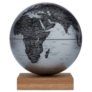 Globe emform Platon Oak Matt Silver 30cm