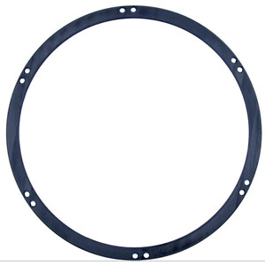 Astroprints Diaphragme de miroir principal pour Newton 300 mm de Skywatcher