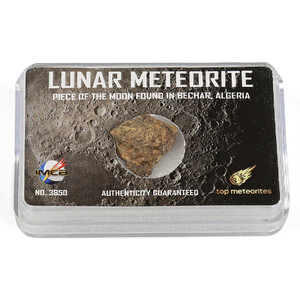 Top Meteorites Echter Mond Meteorit Bechar Algerien 0,4-0,6g
