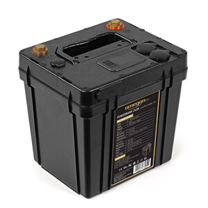 Omegon Pro Powerbank 240k LiFePO4 768Wh 12V (Neuwertig)