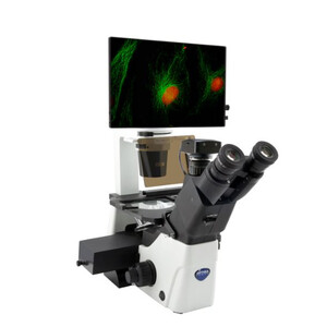 Inverses Mikroskop IM-300LD4D Digital Inverted LED fluorescence microscope, 400x, IOS LWD PLAN F, 4 empty filterset slots