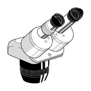 Microscope stéréo zoom Euromex Tête stéreo EE.1522, binoculaire