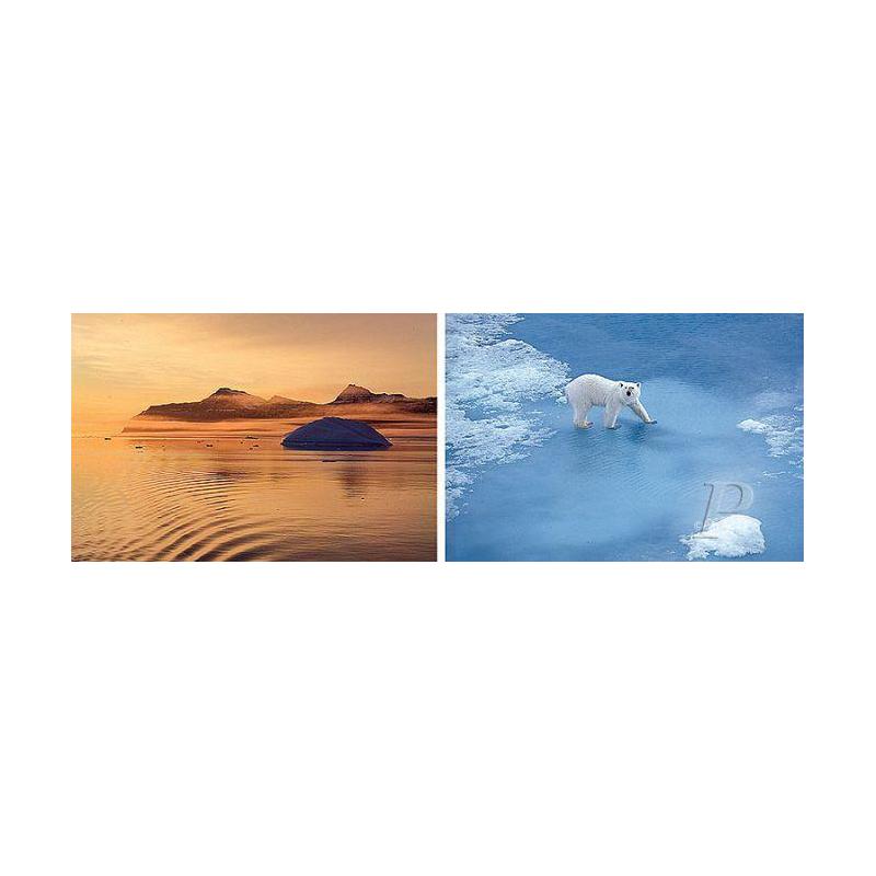 Palazzi Verlag Poster Thule Polar Bear Leinwandprint