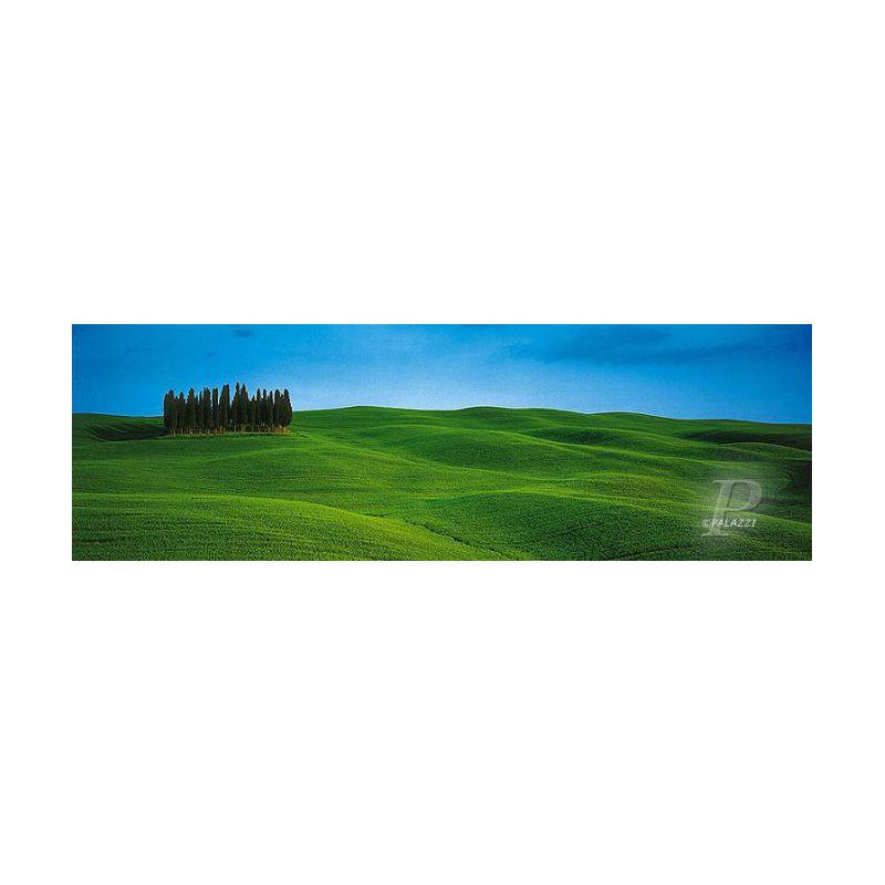 Affiche Palazzi Verlag Groupe d'arbres, Toscane