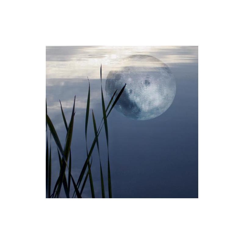 Tushita Verlag Kalender Moon Power 2009