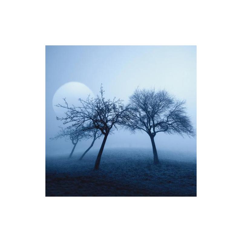 Tushita Verlag Kalender Moon Power 2009