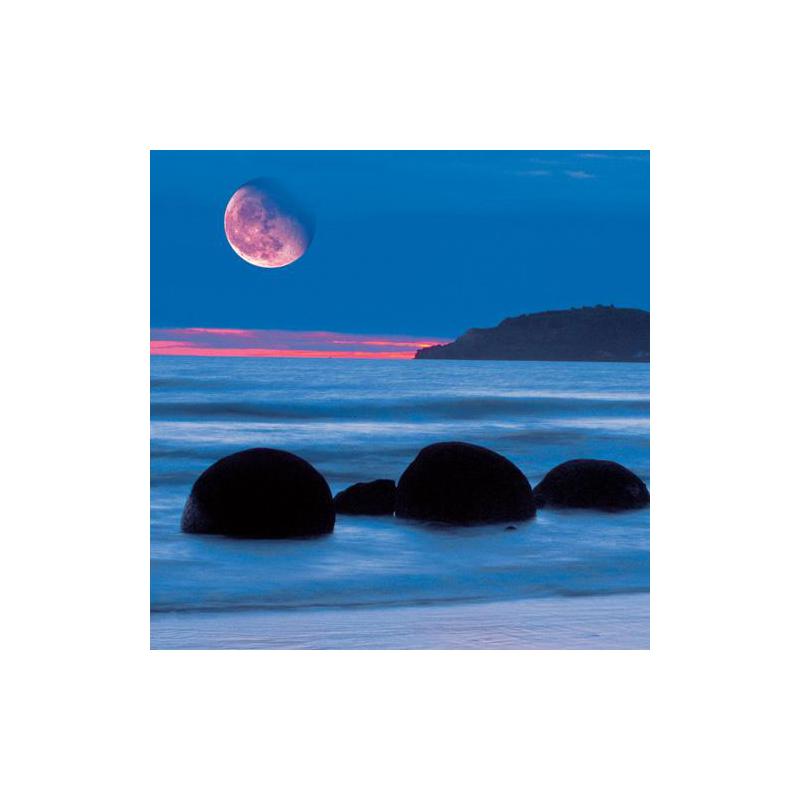 Tushita Verlag Kalender Moon Power 2009
