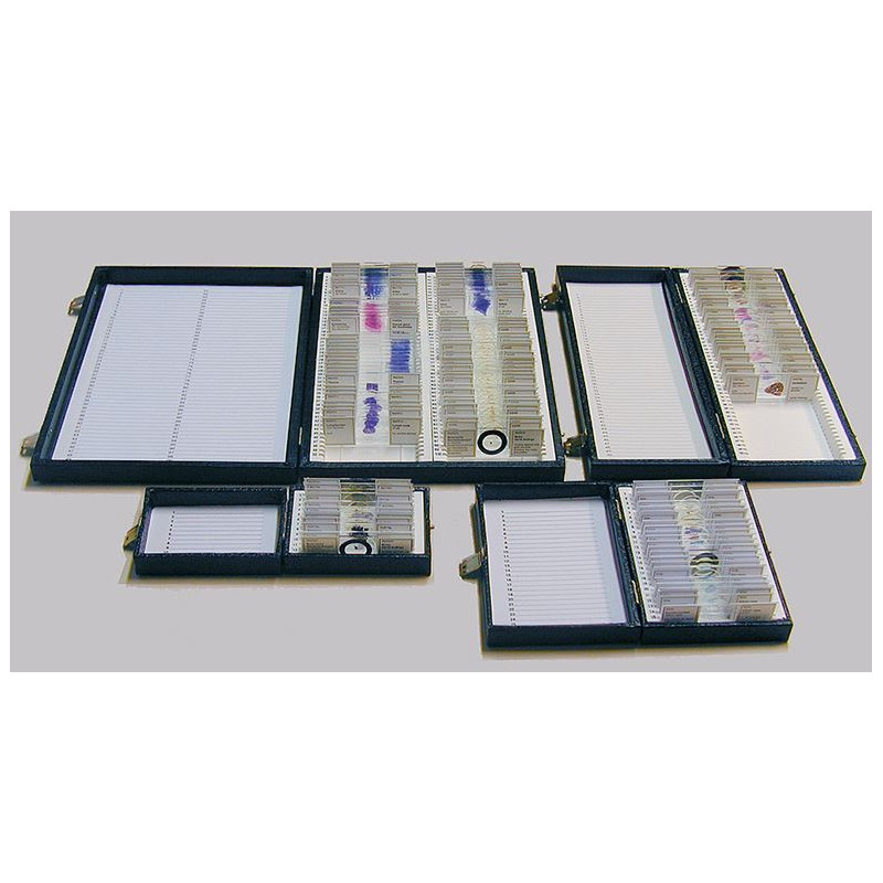 Windaus Coffret de rangement, modèle standard, pour 100 préparations