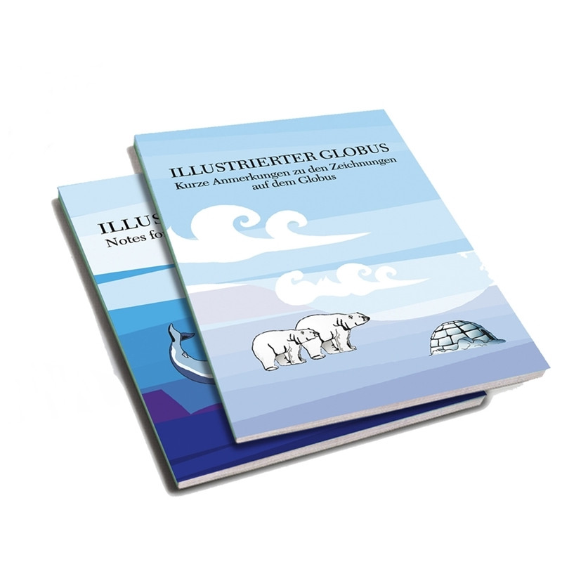 Räthgloben Kinderglobus silber 30cm (Italienisch)