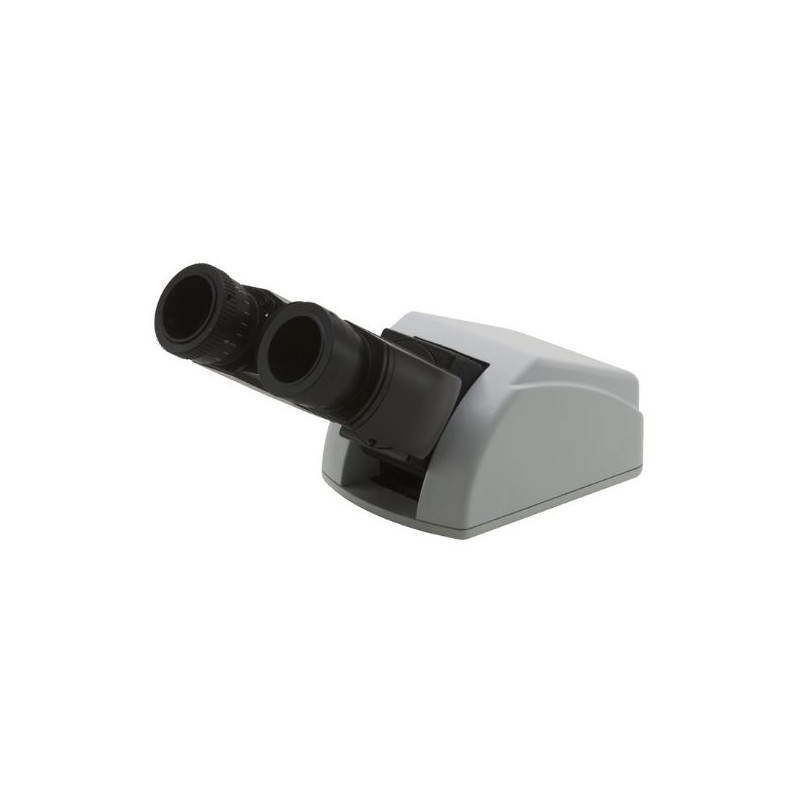 Optika M-755, microscope binoculaire tête ergonomique pour XDS-2