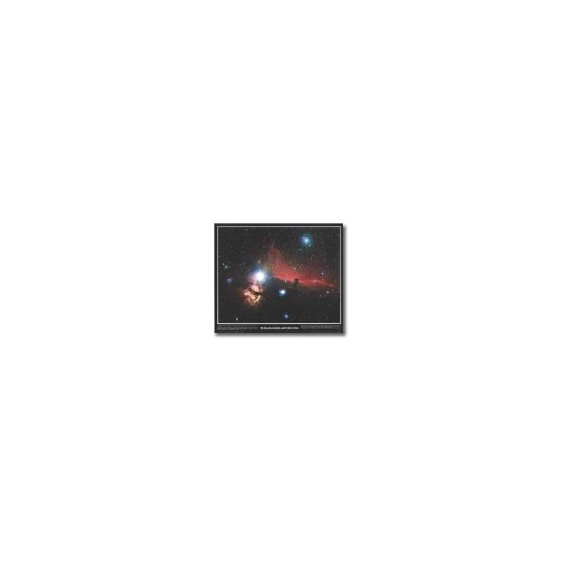 Affiche Horsehead Nebula