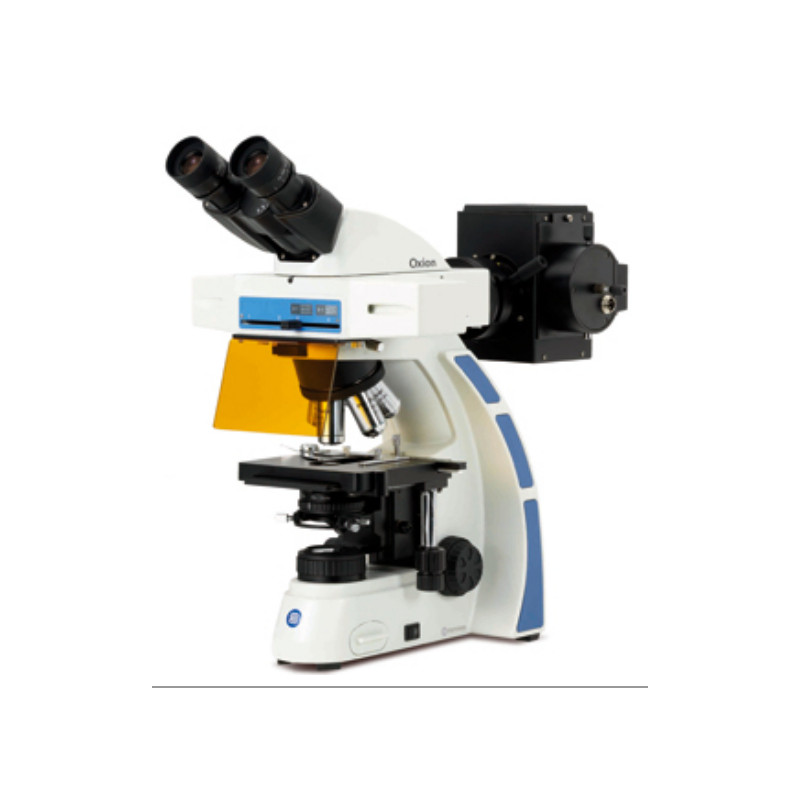 Euromex Mikroskop OX.3080, binokular, Fluarex,Öl