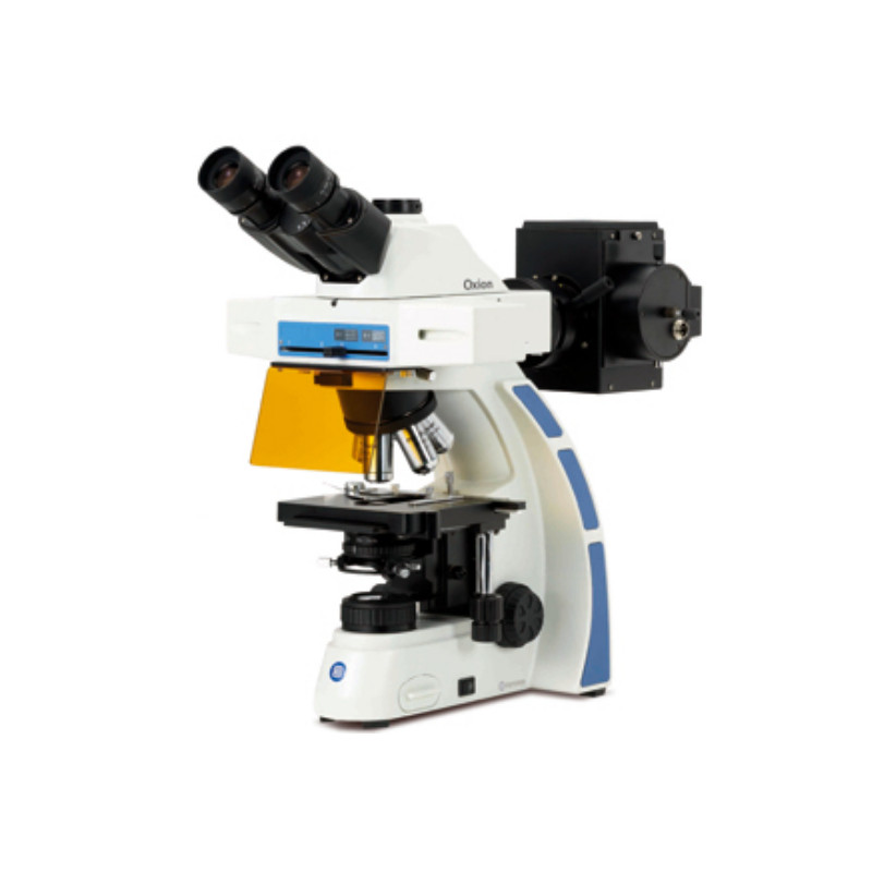 Euromex Microscope trinoculaire OX.3085, Fluarex, objectif à immersion d'huile