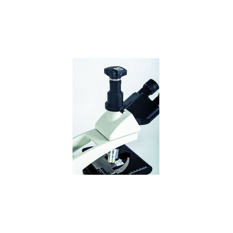 Microscope Hund Medicus PH Plan, trino, 100x-1000x