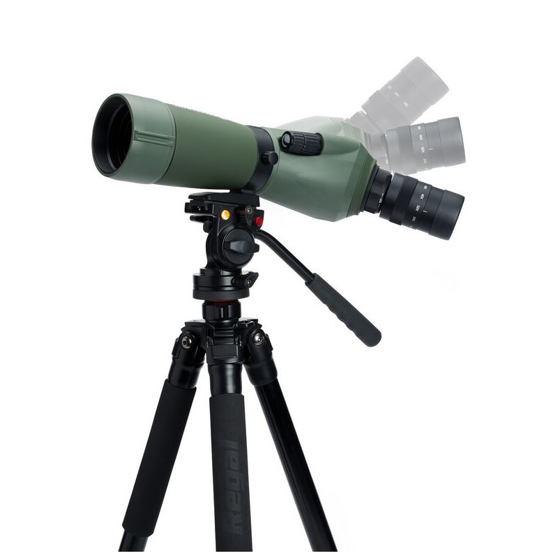 Celestron Spektiv REGAL M2 16-48x65 ED