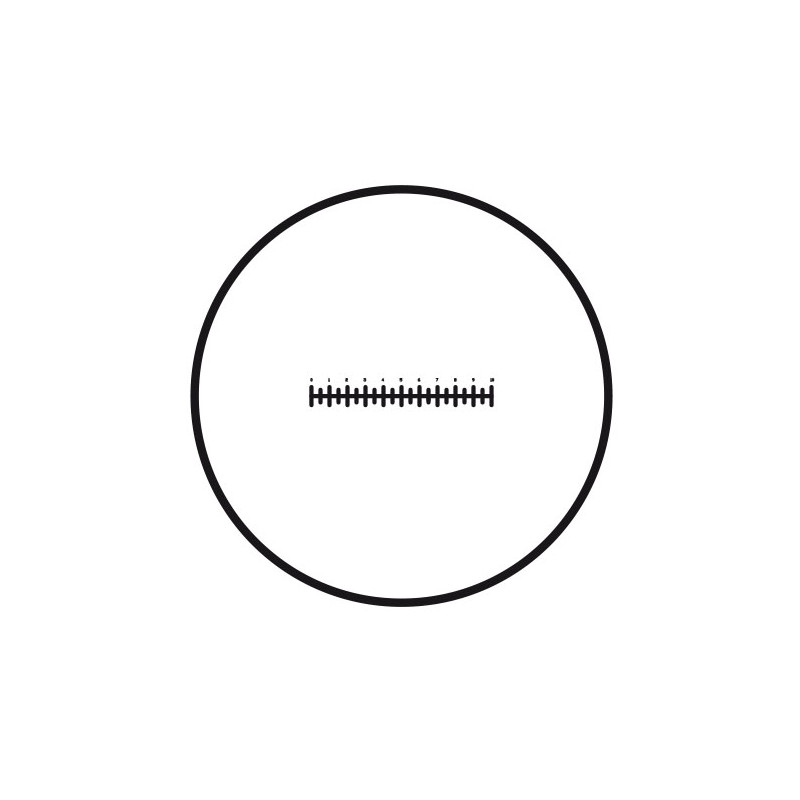 Motic Plaque graduée micrométrique Plaque graduée (10 mm en 100 divisions), (Ø 25 mm)