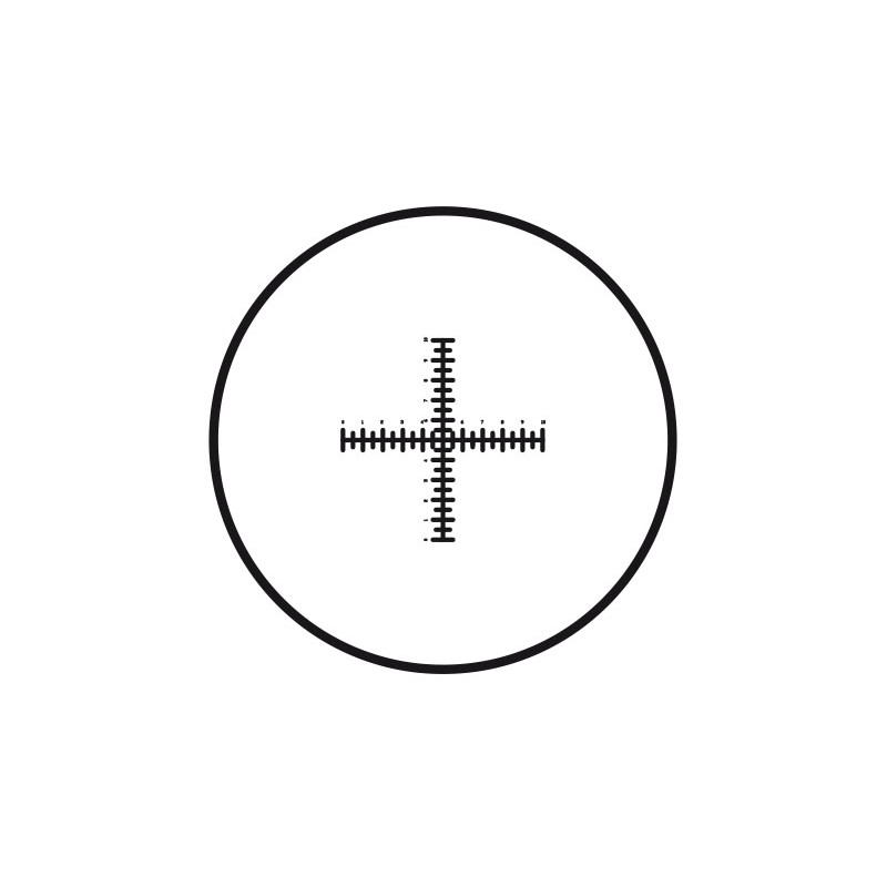 Motic Mikrometerstrichplatte Strichplatte Fadenkreuz mit doppelter Skalierung (10mm in 100 Teilen), (Ø25mm)