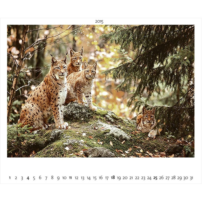 Palazzi Verlag Kalender Naturland Deutschland 2015