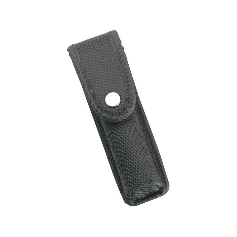 Walther Etui ceinture pour Tactical 250